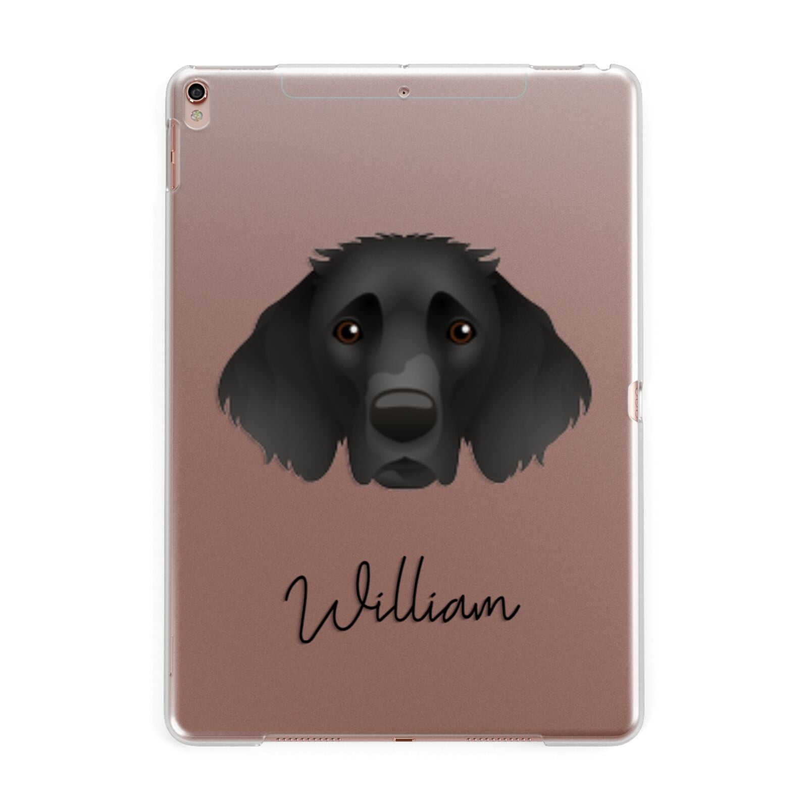German Longhaired Pointer Personalised Apple iPad Rose Gold Case