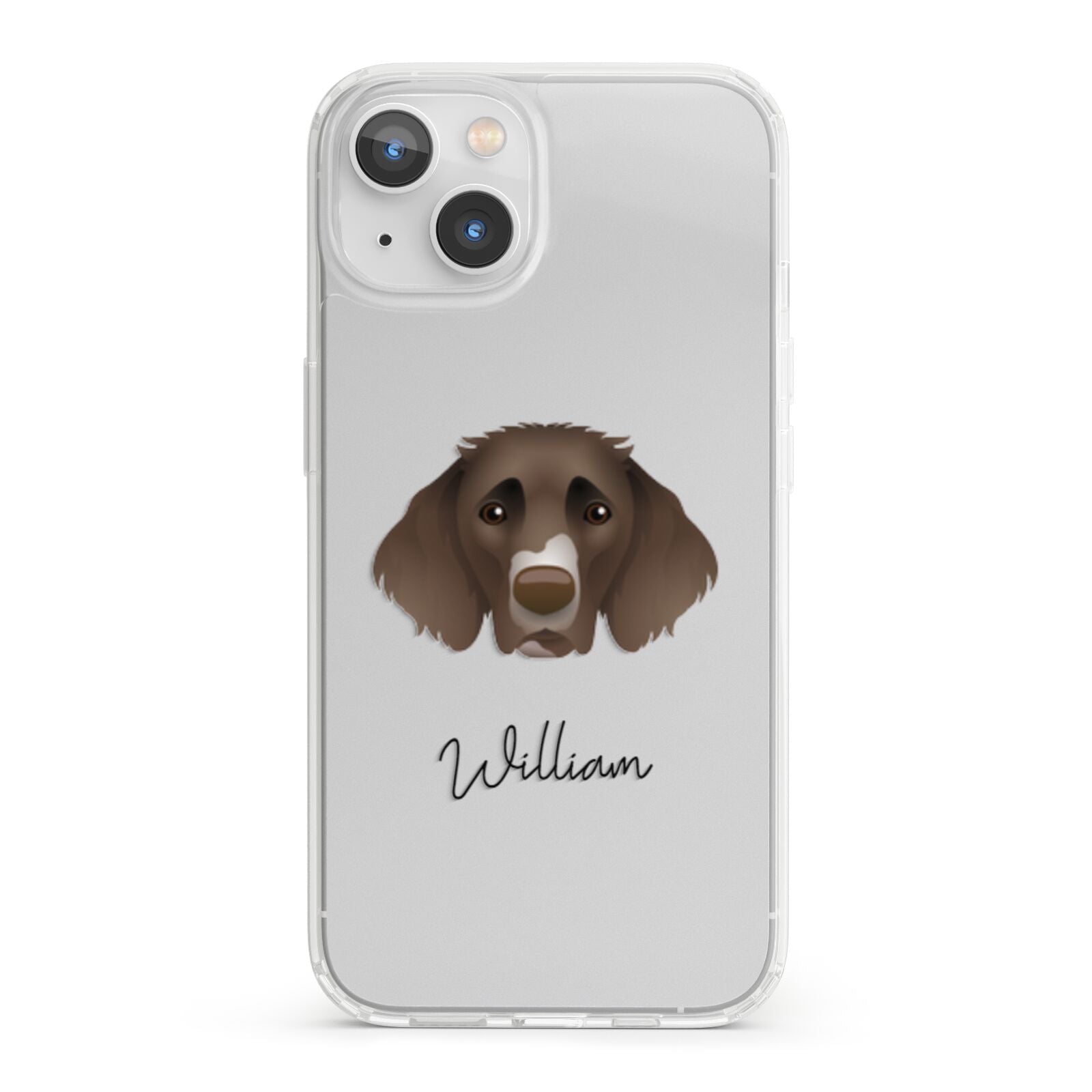 German Longhaired Pointer Personalised iPhone 13 Clear Bumper Case