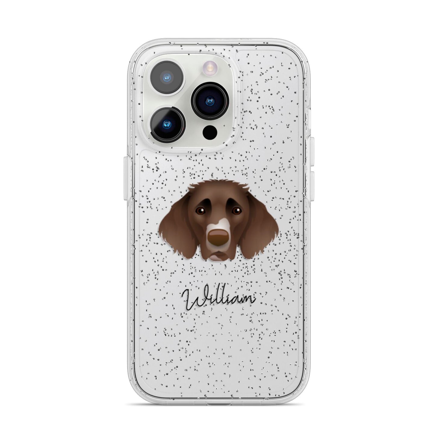 German Longhaired Pointer Personalised iPhone 14 Pro Glitter Tough Case Silver