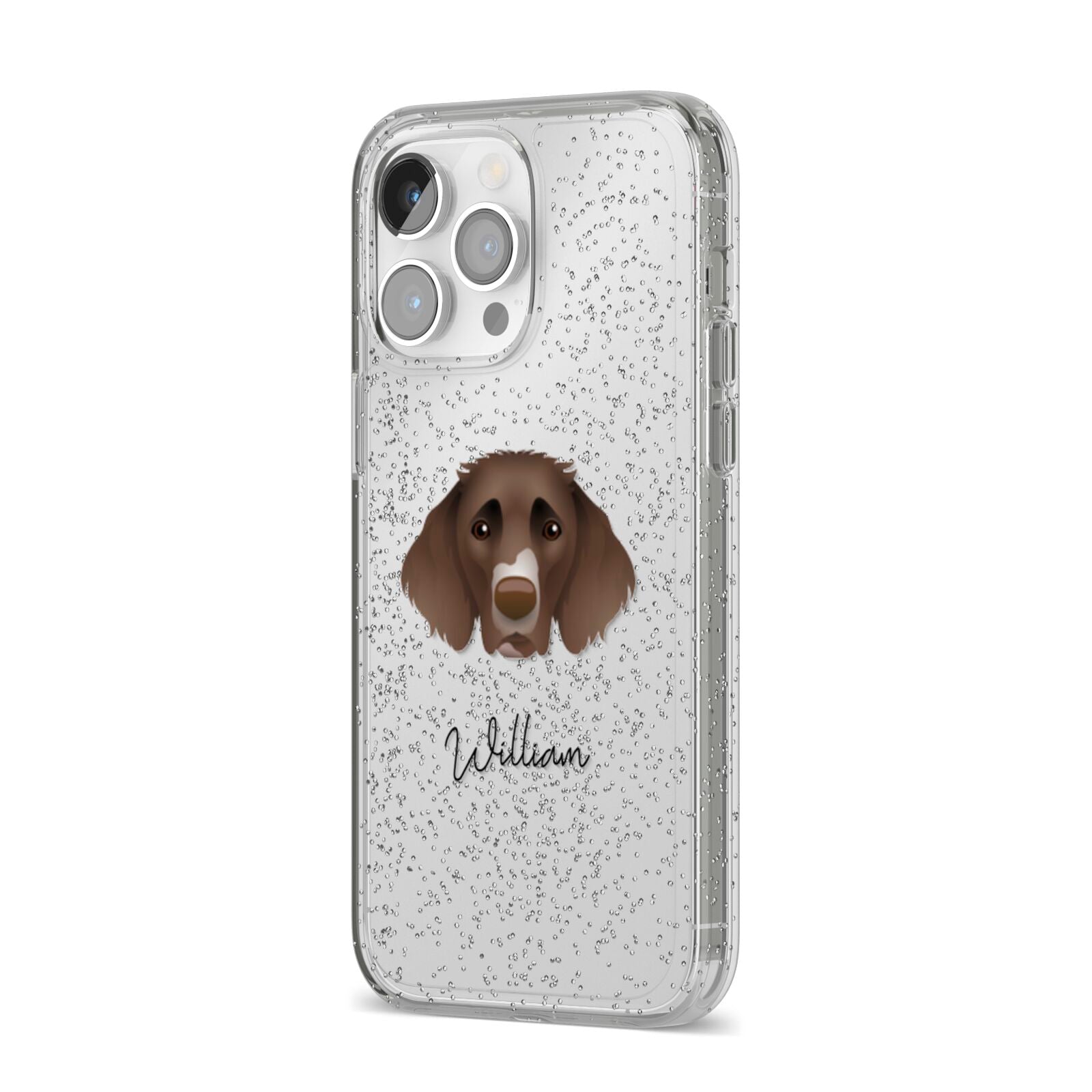 German Longhaired Pointer Personalised iPhone 14 Pro Max Glitter Tough Case Silver Angled Image