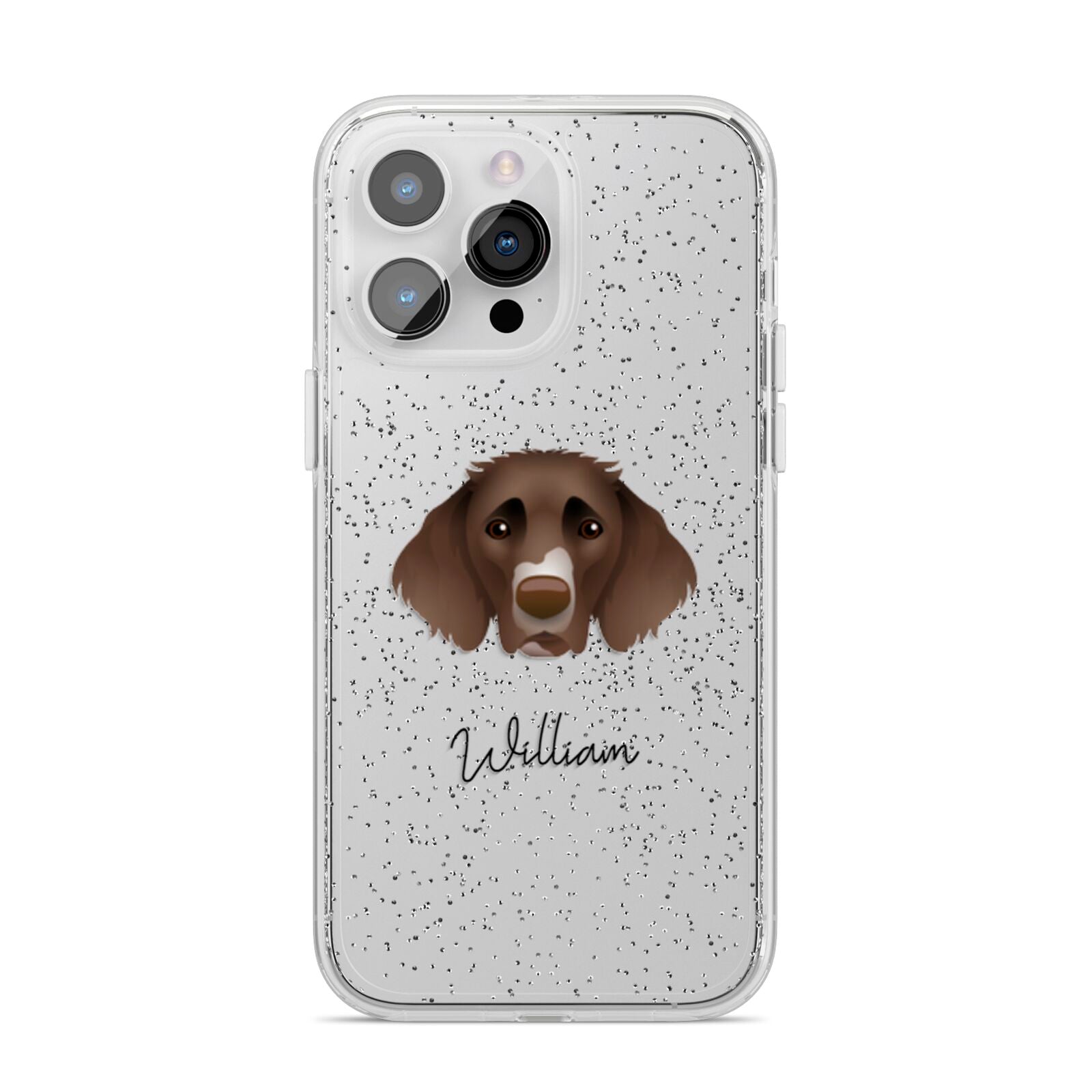 German Longhaired Pointer Personalised iPhone 14 Pro Max Glitter Tough Case Silver