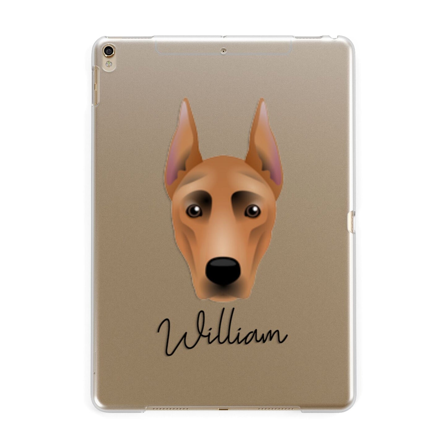 German Pinscher Personalised Apple iPad Gold Case