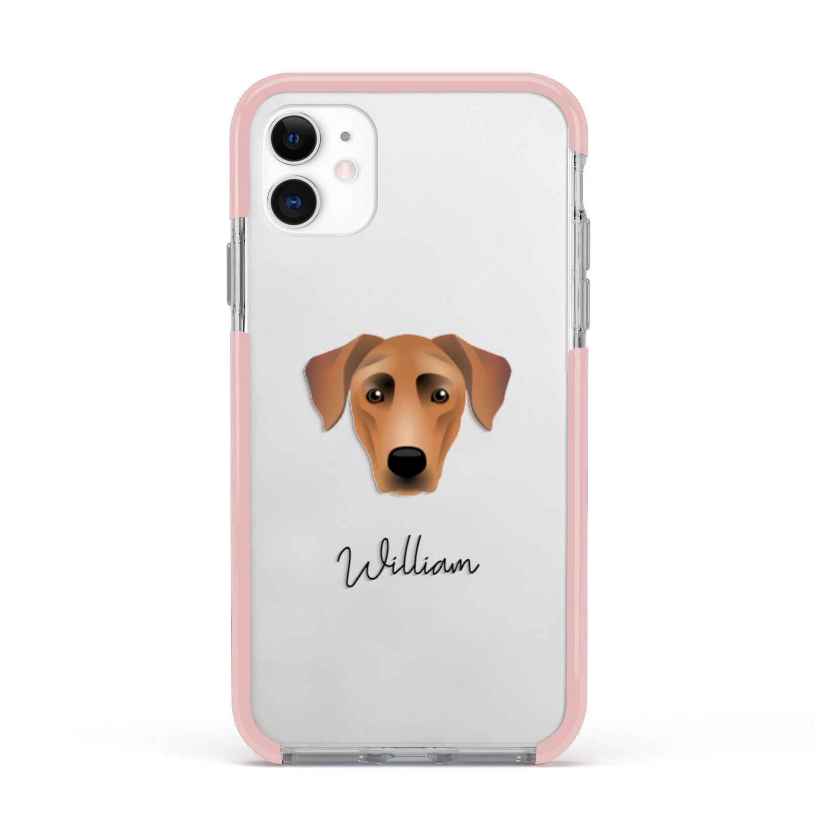 German Pinscher Personalised Apple iPhone 11 in White with Pink Impact Case