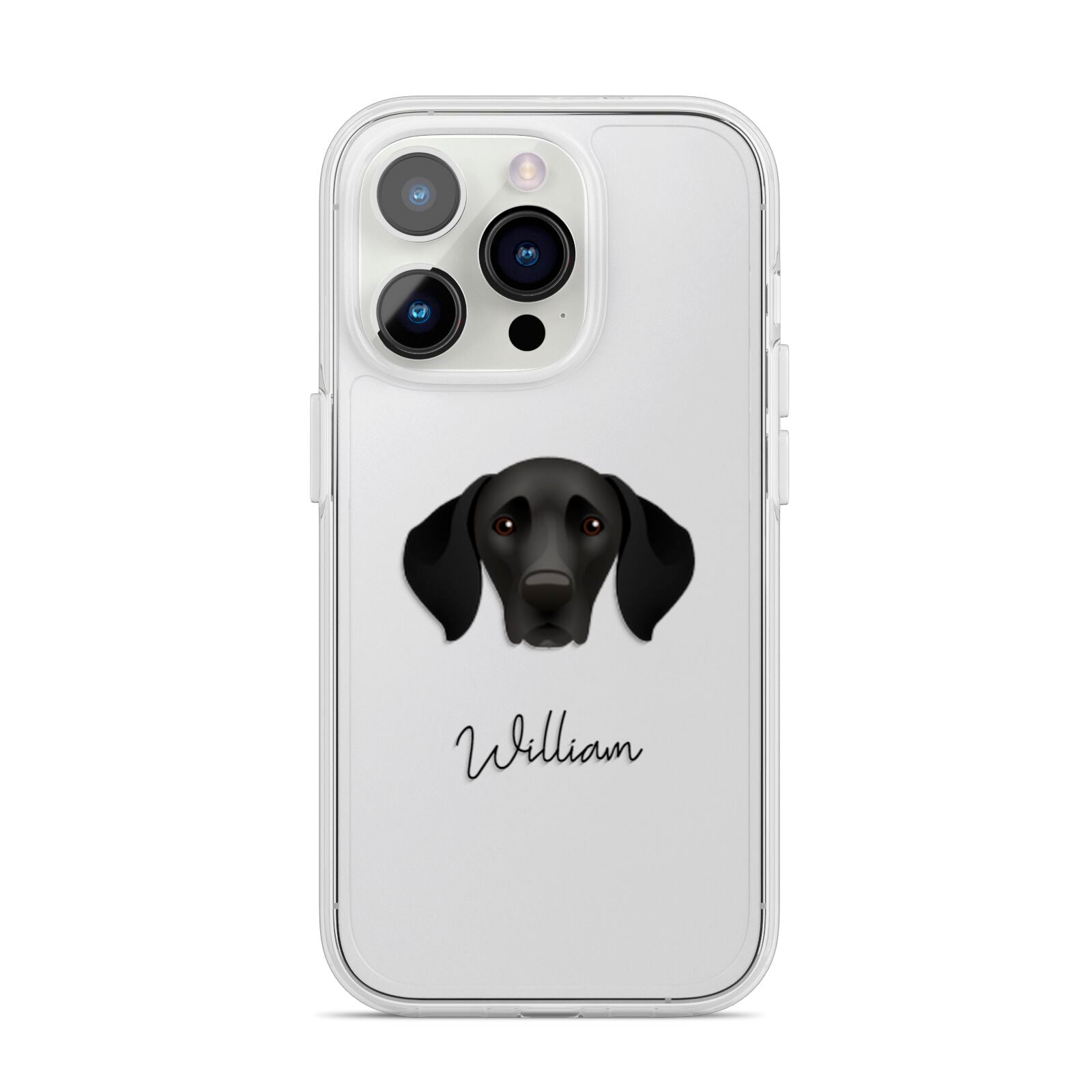 German Shorthaired Pointer Personalised iPhone 14 Pro Clear Tough Case Silver