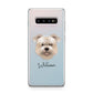 Glen Of Imaal Terrier Personalised Samsung Galaxy S10 Plus Case