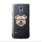 Glen Of Imaal Terrier Personalised Samsung Galaxy S5 Mini Case