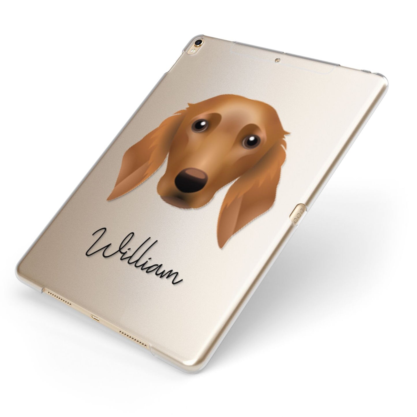 Golden Dox Personalised Apple iPad Case on Gold iPad Side View