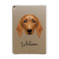 Golden Dox Personalised Apple iPad Gold Case