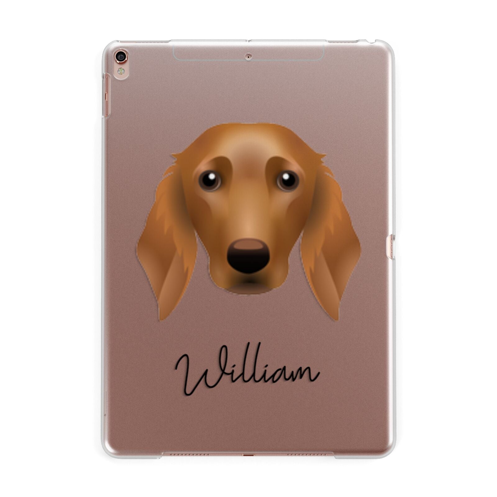 Golden Dox Personalised Apple iPad Rose Gold Case