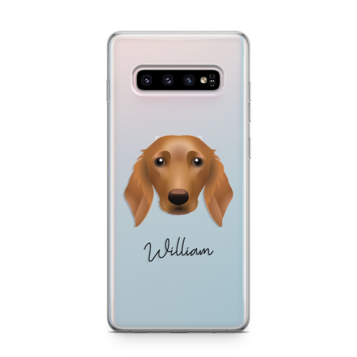 Golden Dox Personalised Samsung Galaxy S10 Plus Case