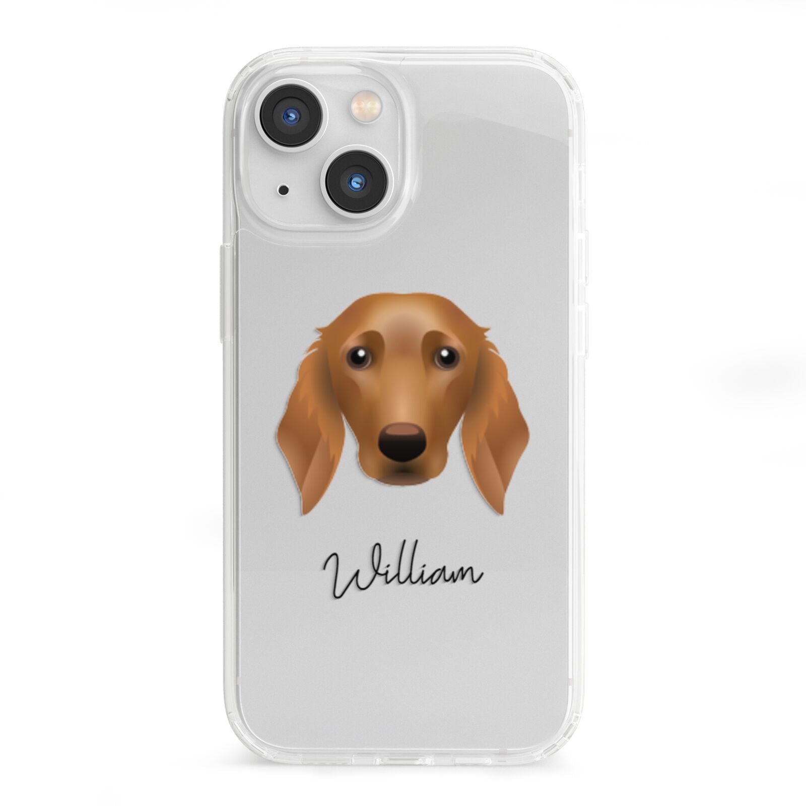 Golden Dox Personalised iPhone 13 Mini Clear Bumper Case