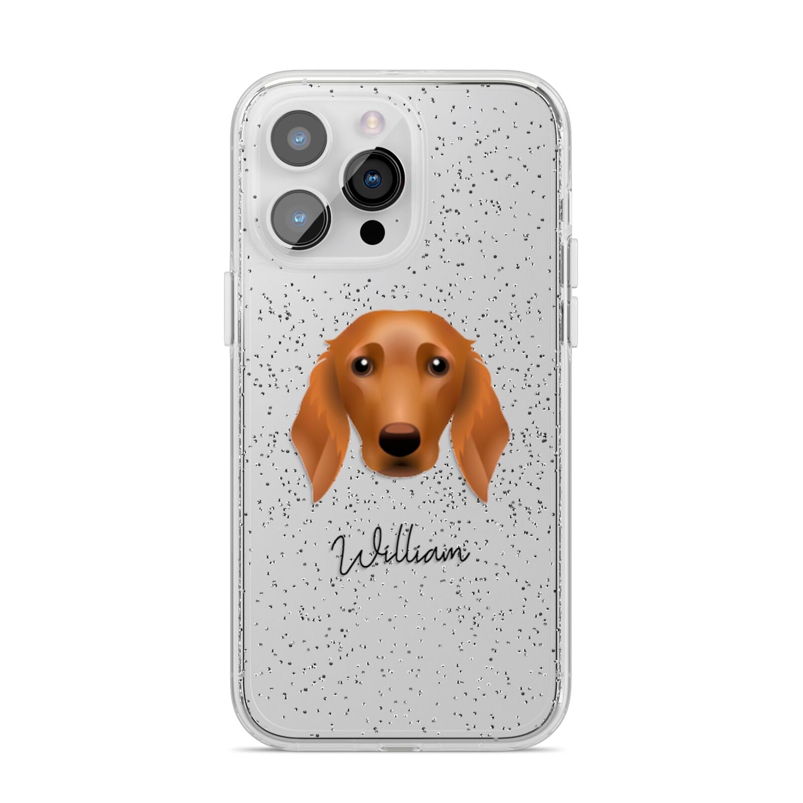 Golden Dox Personalised iPhone 14 Pro Max Glitter Tough Case Silver