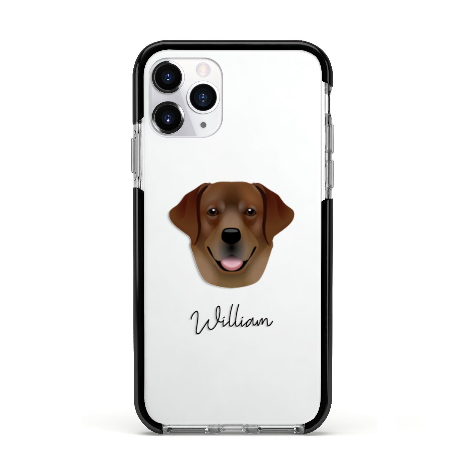 Golden Labrador Personalised Apple iPhone 11 Pro in Silver with Black Impact Case