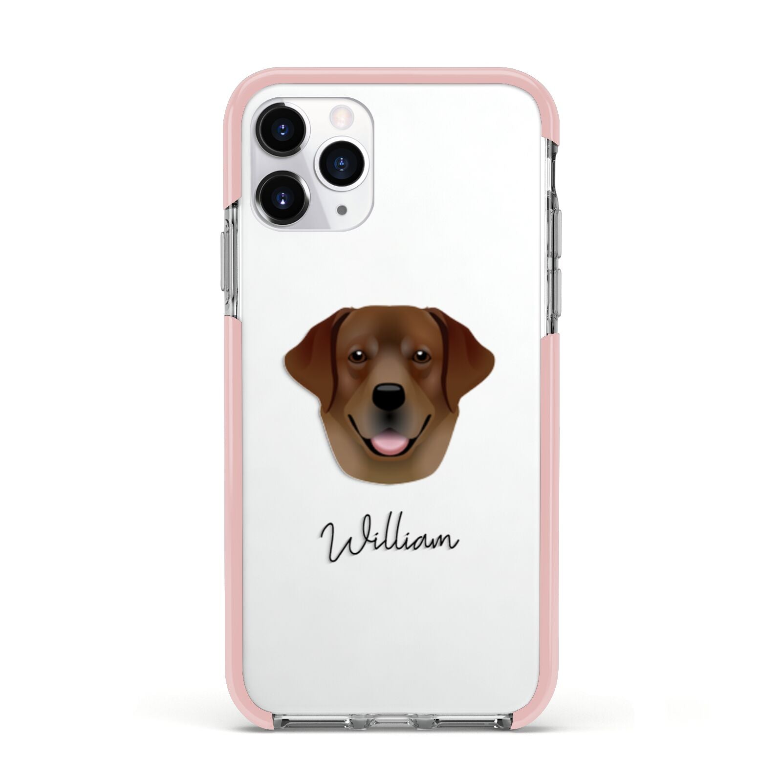 Golden Labrador Personalised Apple iPhone 11 Pro in Silver with Pink Impact Case