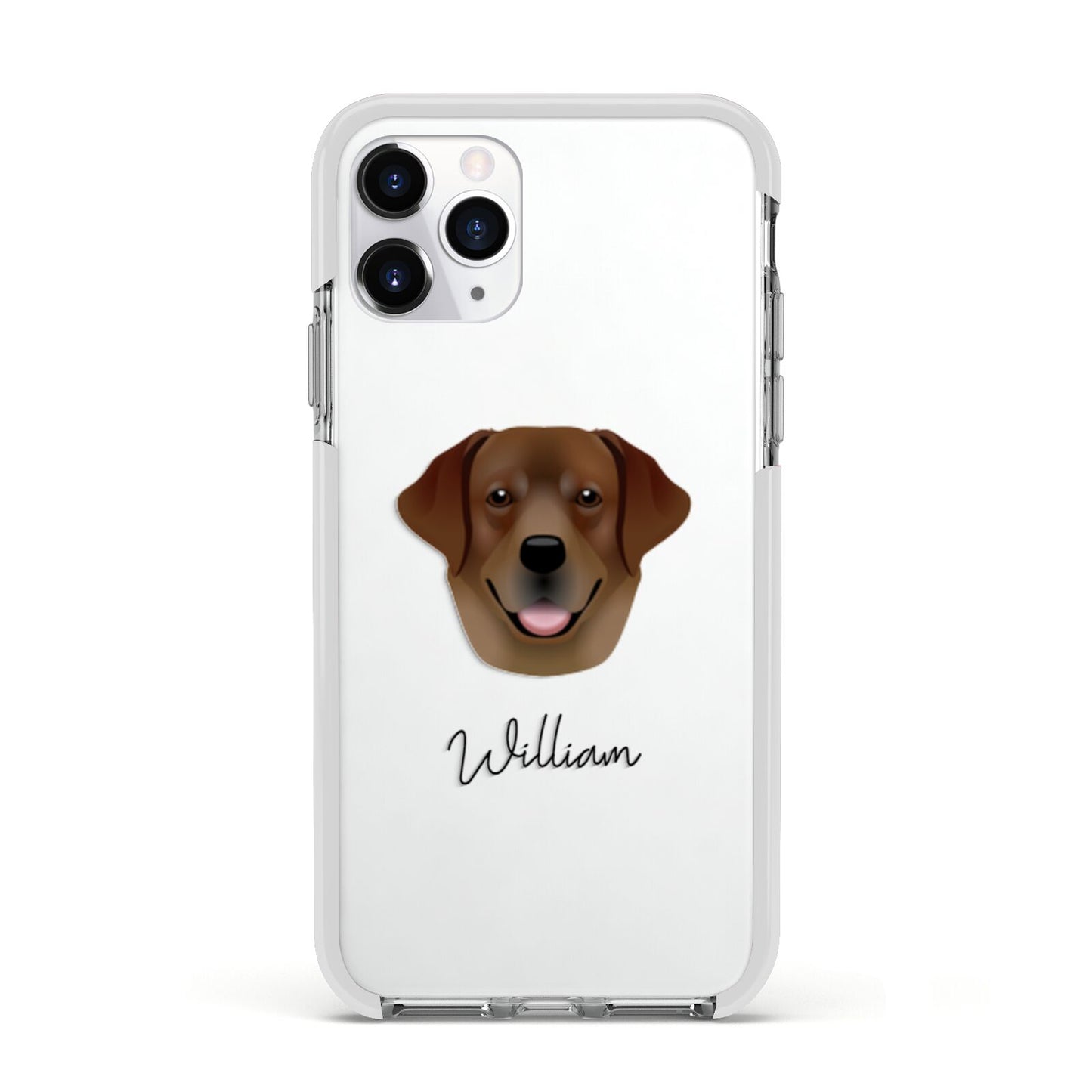 Golden Labrador Personalised Apple iPhone 11 Pro in Silver with White Impact Case