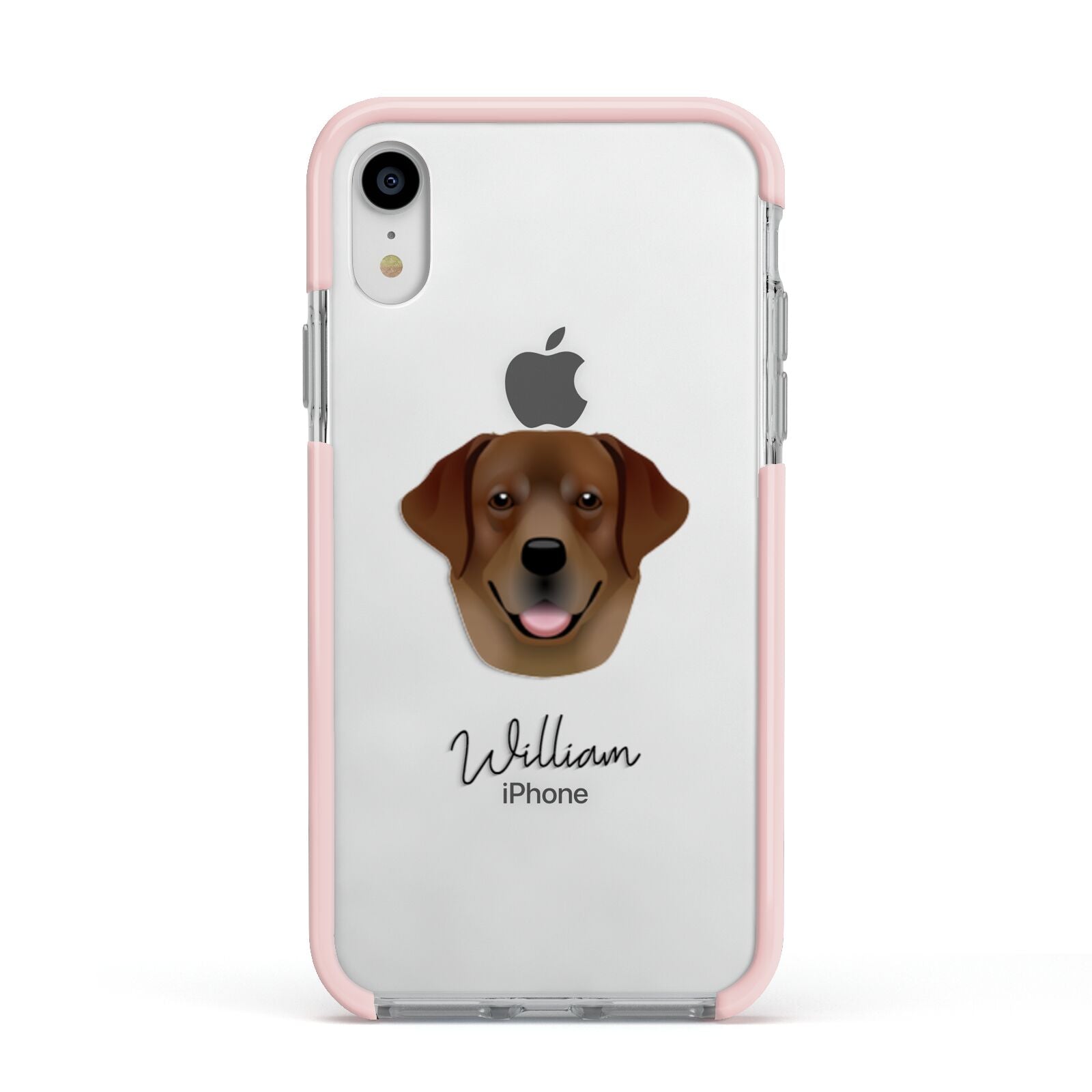 Golden Labrador Personalised Apple iPhone XR Impact Case Pink Edge on Silver Phone
