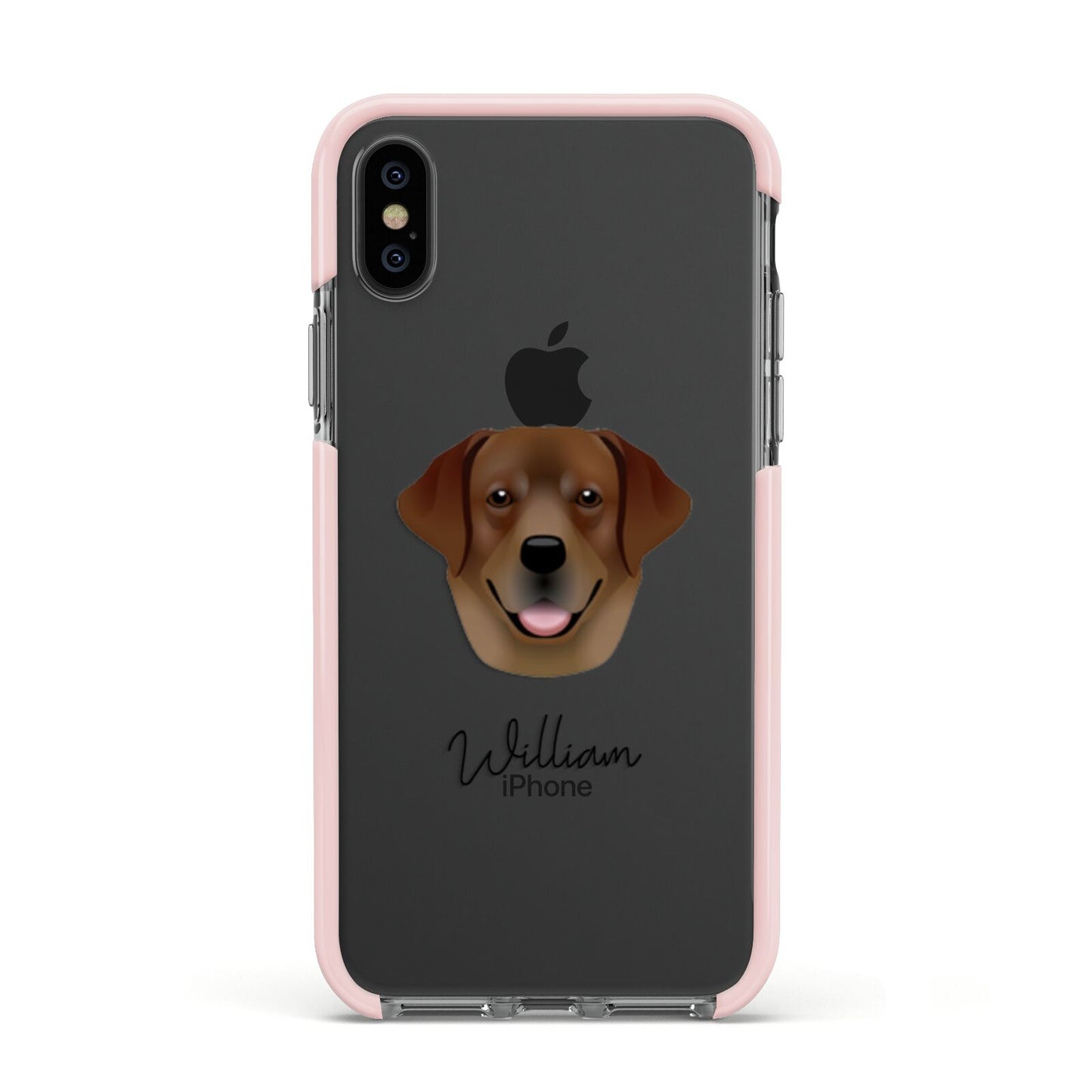 Golden Labrador Personalised Apple iPhone Xs Impact Case Pink Edge on Black Phone