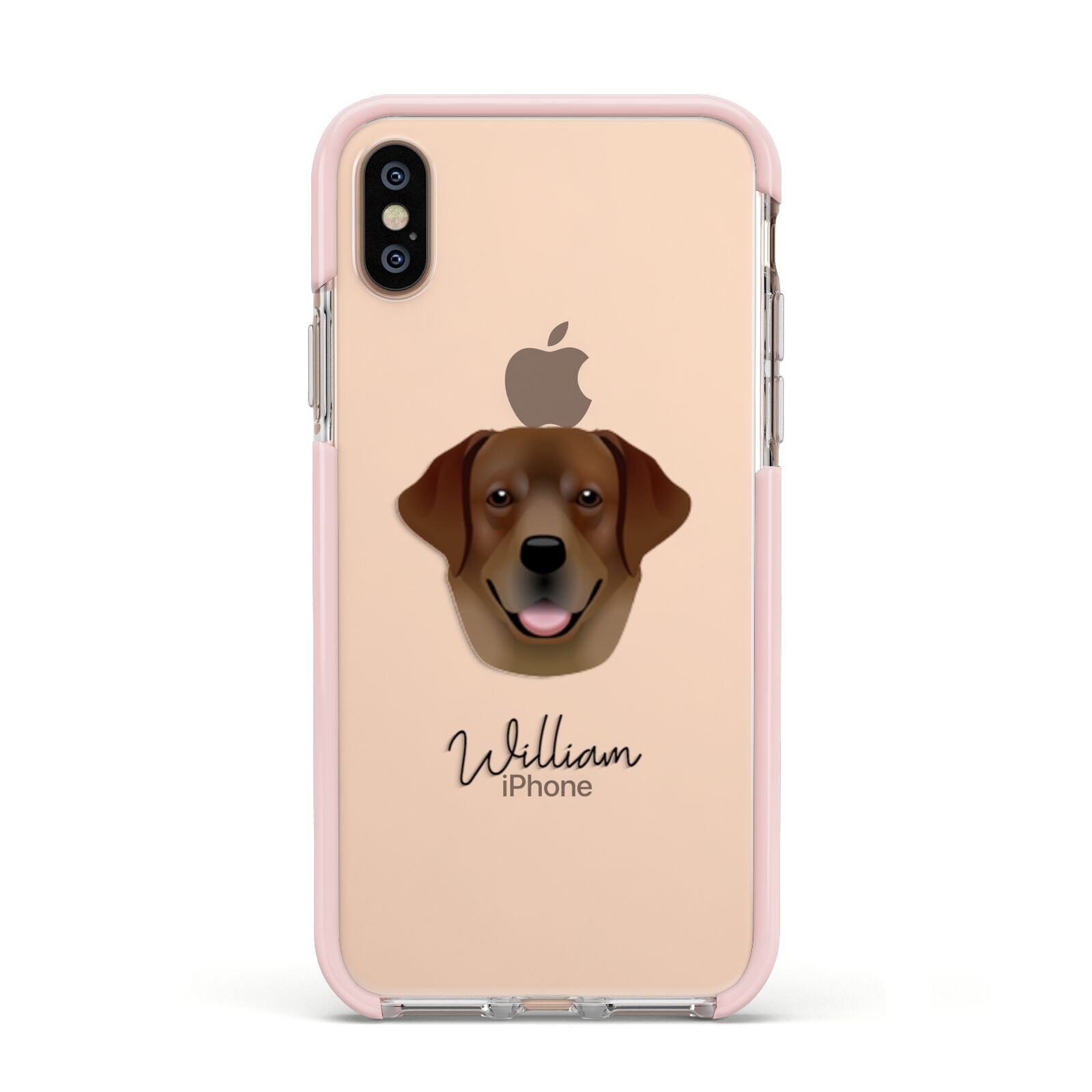 Golden Labrador Personalised Apple iPhone Xs Impact Case Pink Edge on Gold Phone
