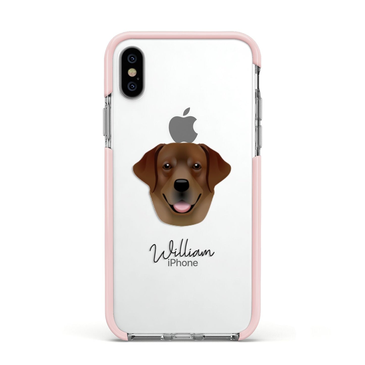Golden Labrador Personalised Apple iPhone Xs Impact Case Pink Edge on Silver Phone