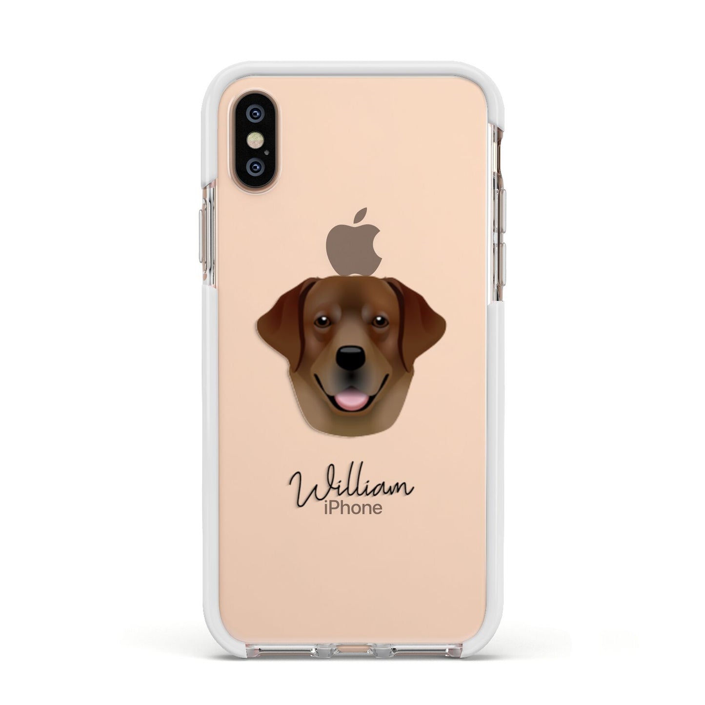 Golden Labrador Personalised Apple iPhone Xs Impact Case White Edge on Gold Phone