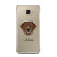 Golden Labrador Personalised Samsung Galaxy A5 2016 Case on gold phone
