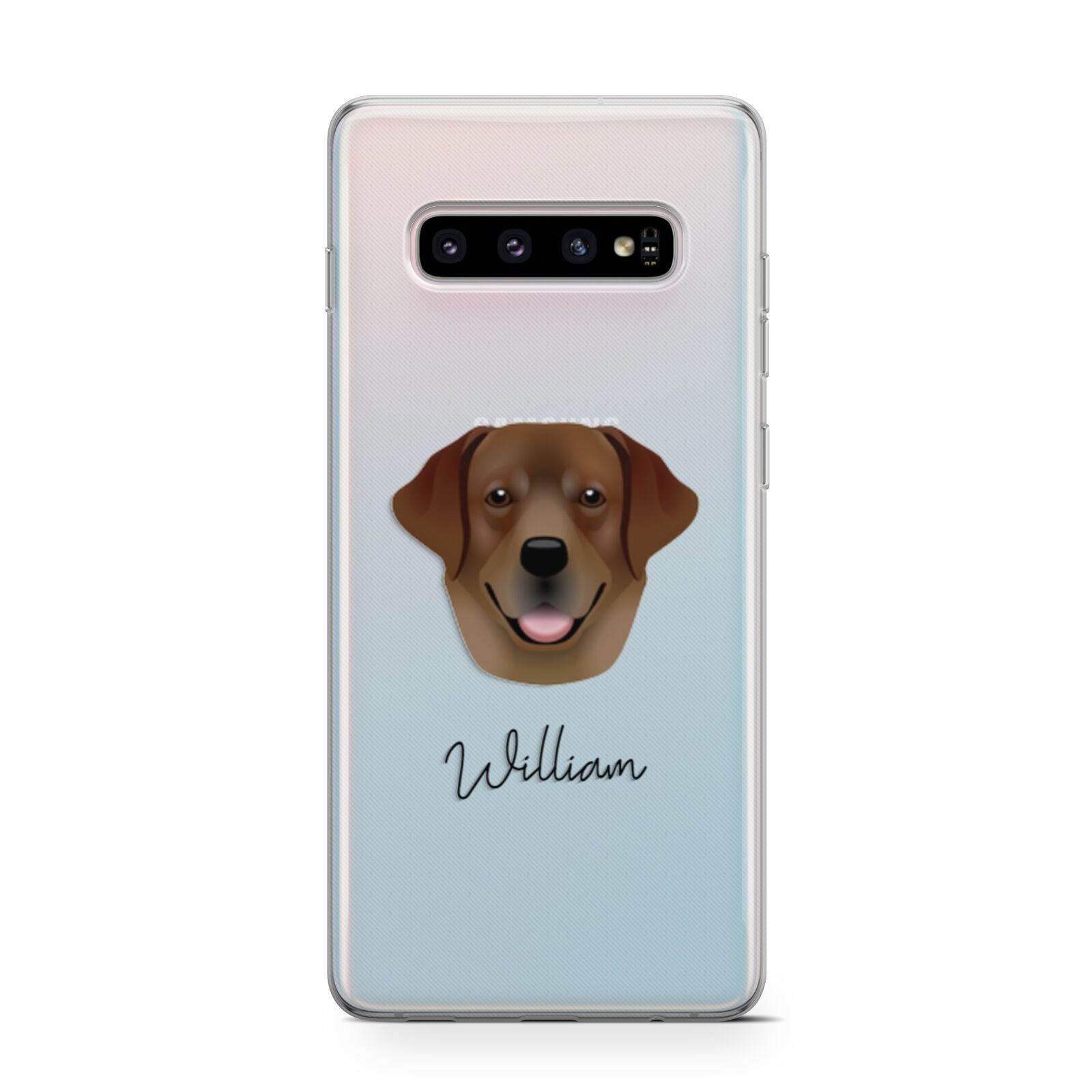 Golden Labrador Personalised Samsung Galaxy S10 Case
