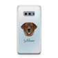 Golden Labrador Personalised Samsung Galaxy S10E Case