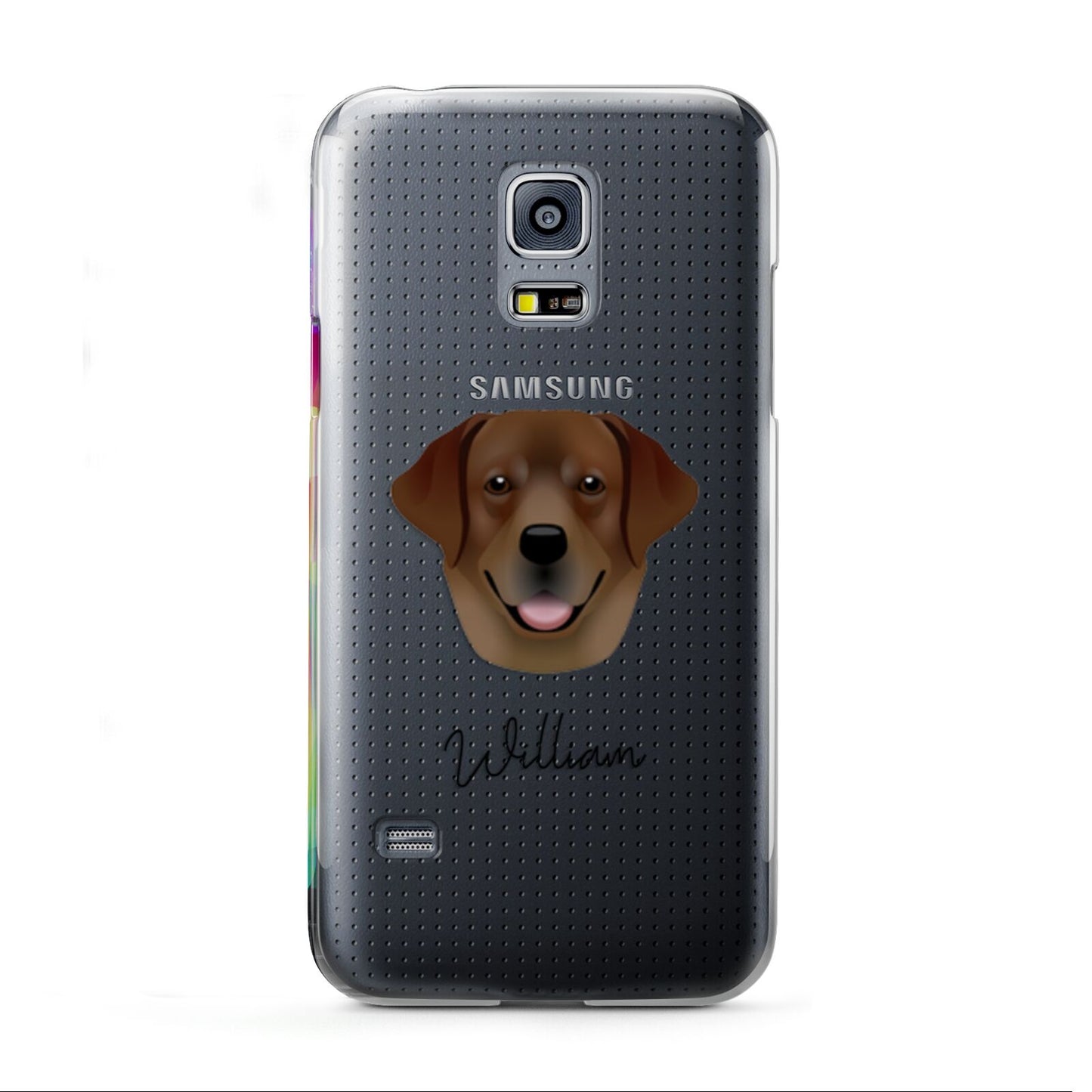 Golden Labrador Personalised Samsung Galaxy S5 Mini Case