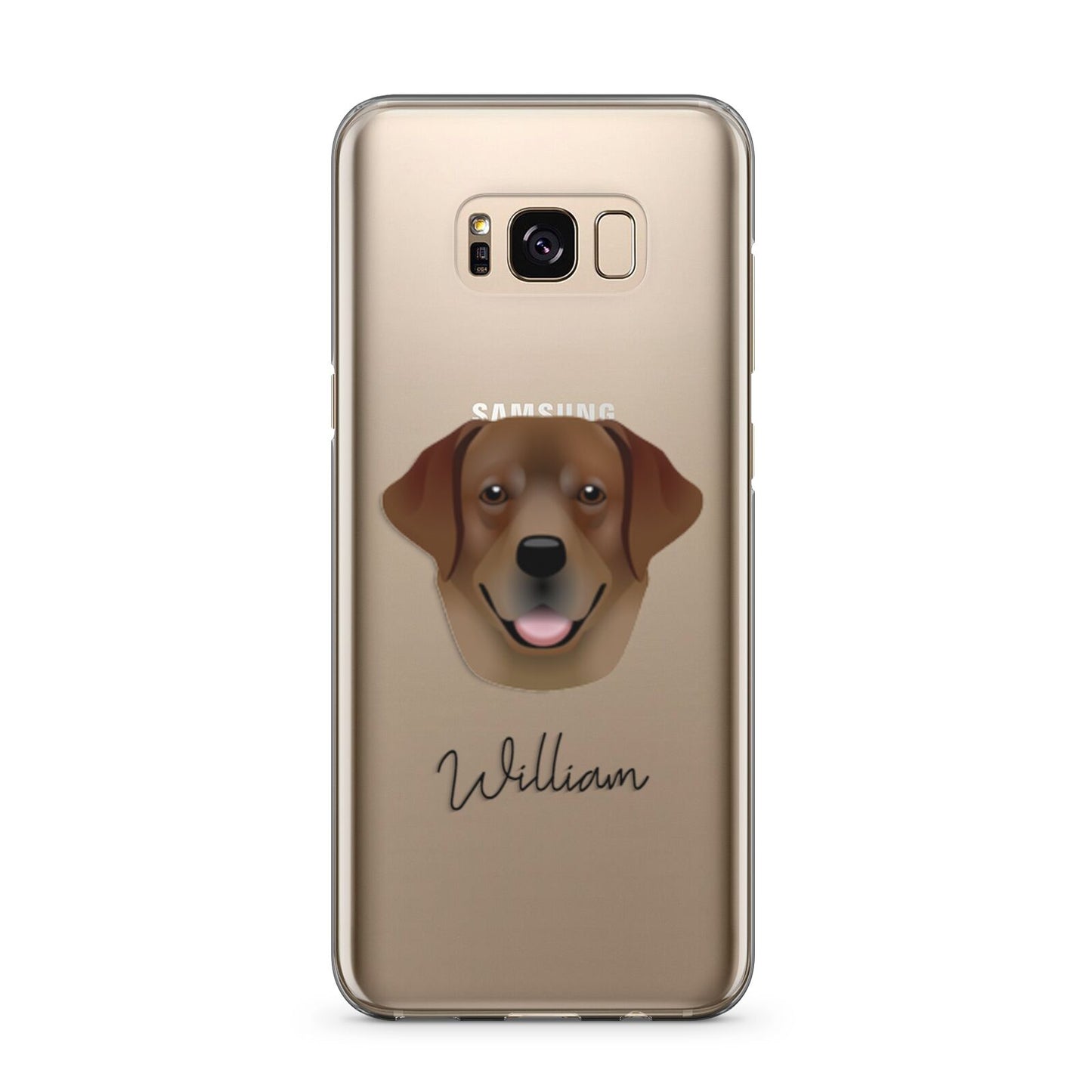 Golden Labrador Personalised Samsung Galaxy S8 Plus Case