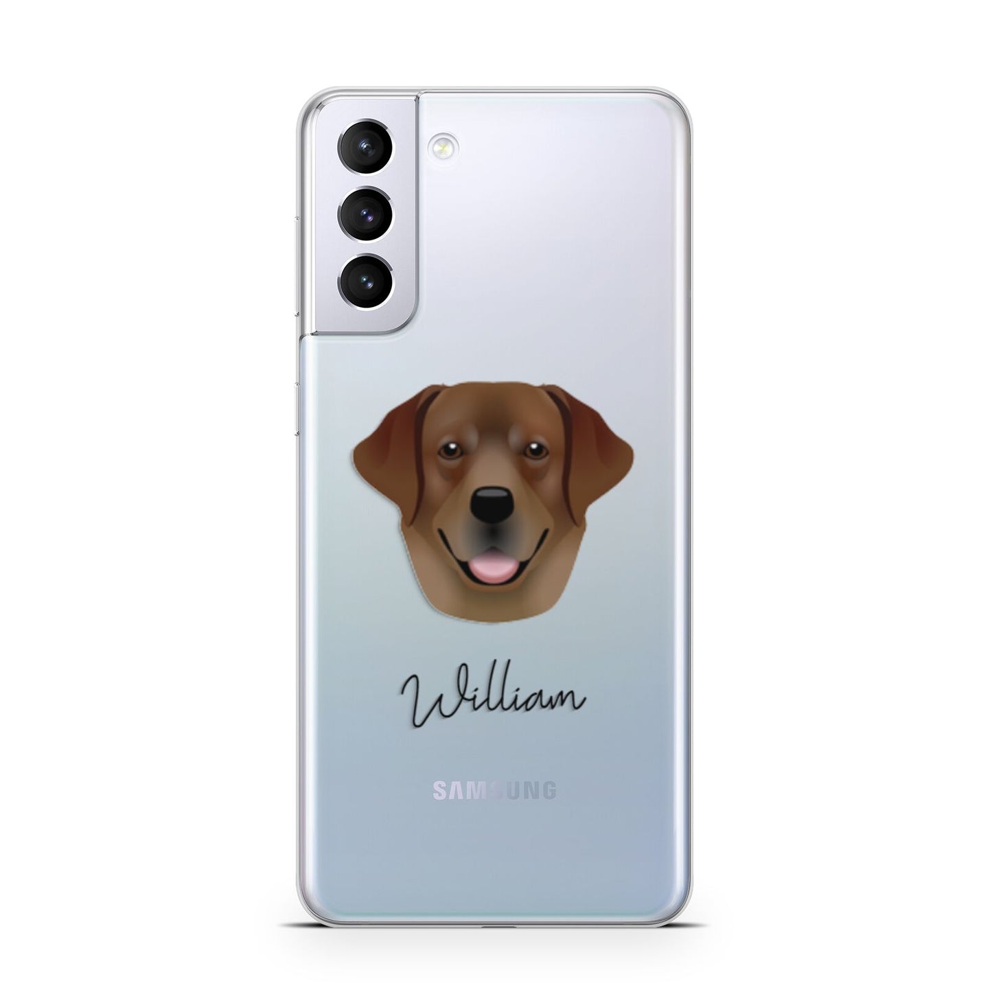Golden Labrador Personalised Samsung S21 Plus Phone Case