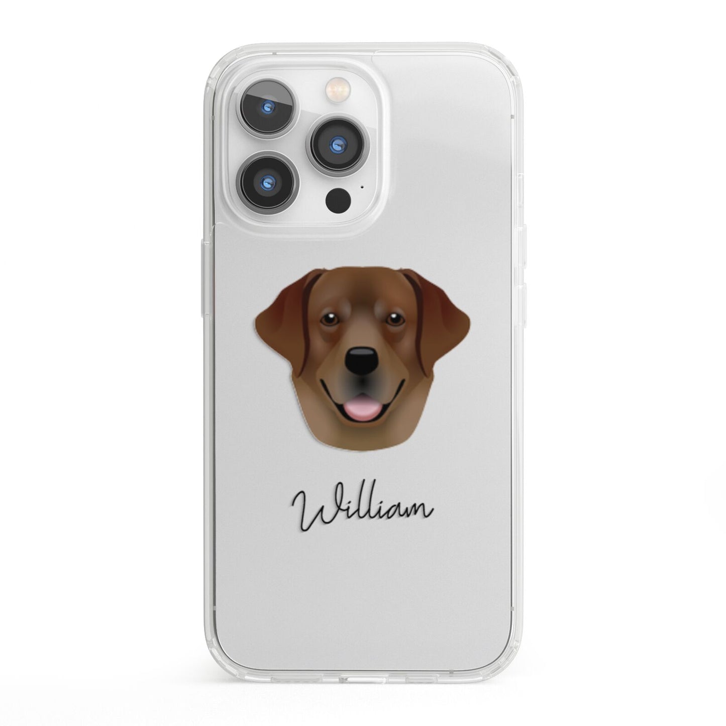 Golden Labrador Personalised iPhone 13 Pro Clear Bumper Case