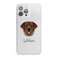 Golden Labrador Personalised iPhone 13 Pro Max Clear Bumper Case