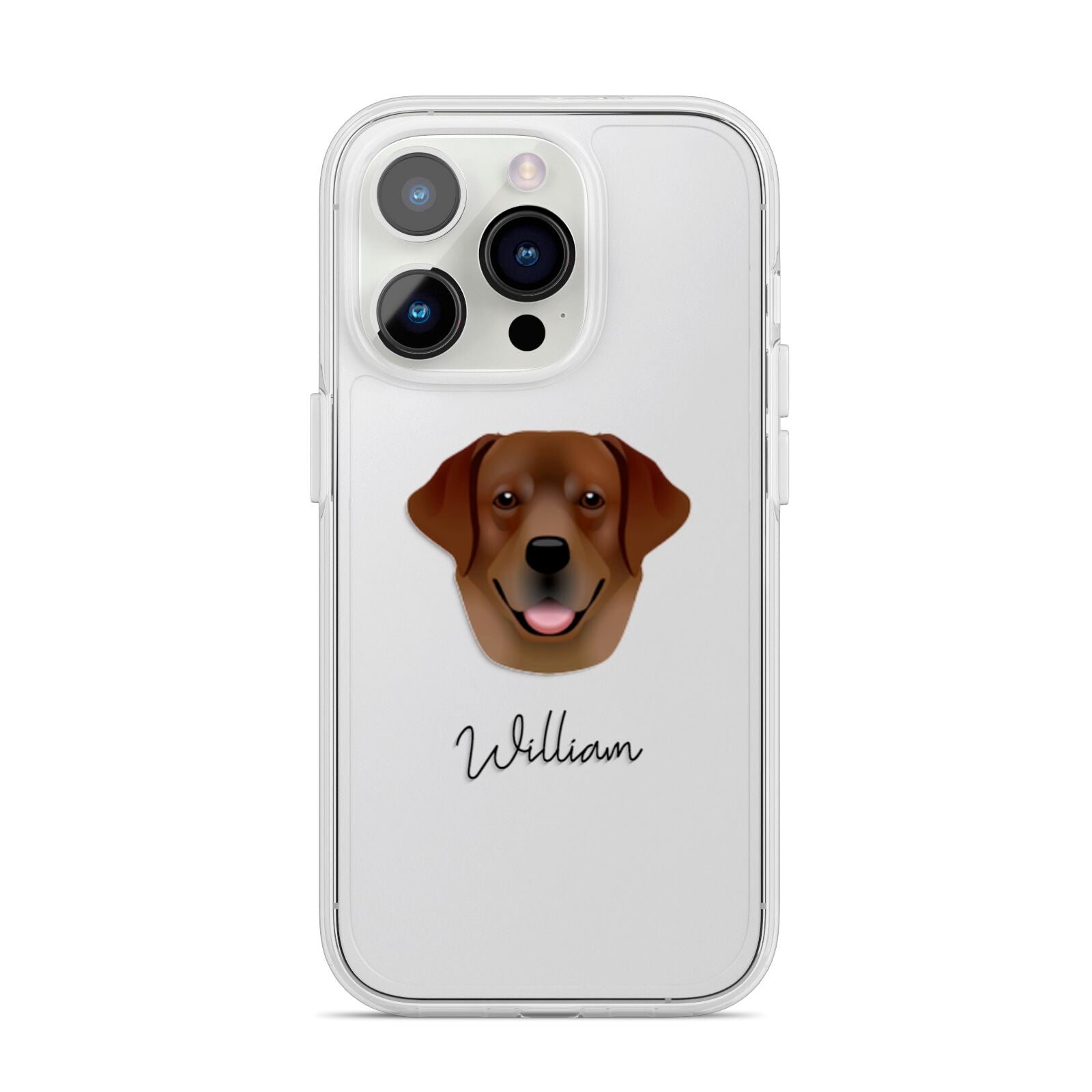 Golden Labrador Personalised iPhone 14 Pro Clear Tough Case Silver