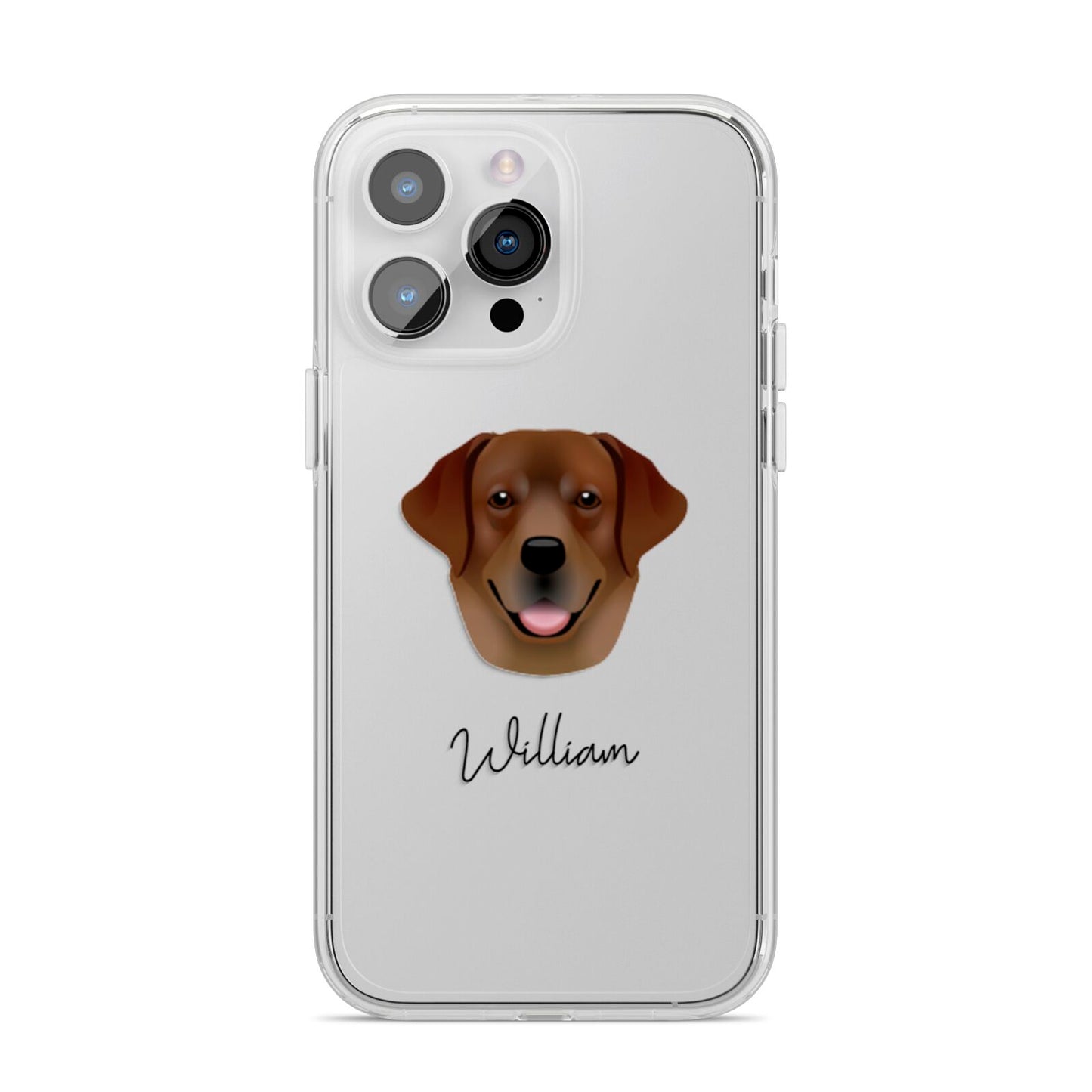 Golden Labrador Personalised iPhone 14 Pro Max Clear Tough Case Silver