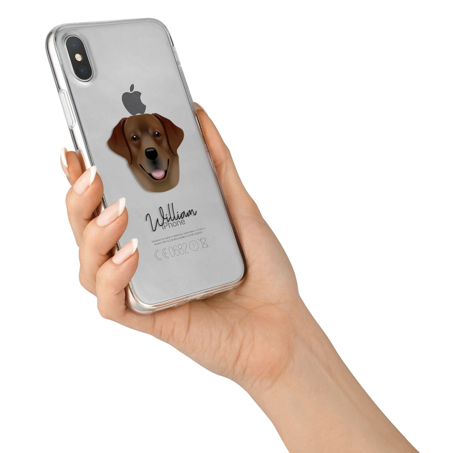 Golden Labrador Personalised iPhone X Bumper Case on Silver iPhone Alternative Image 2