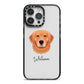 Golden Retriever Personalised iPhone 14 Pro Max Black Impact Case on Silver phone