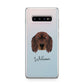 Gordon Setter Personalised Samsung Galaxy S10 Plus Case