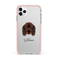 Gordon Setter Personalised iPhone 11 Pro Max Impact Pink Edge Case