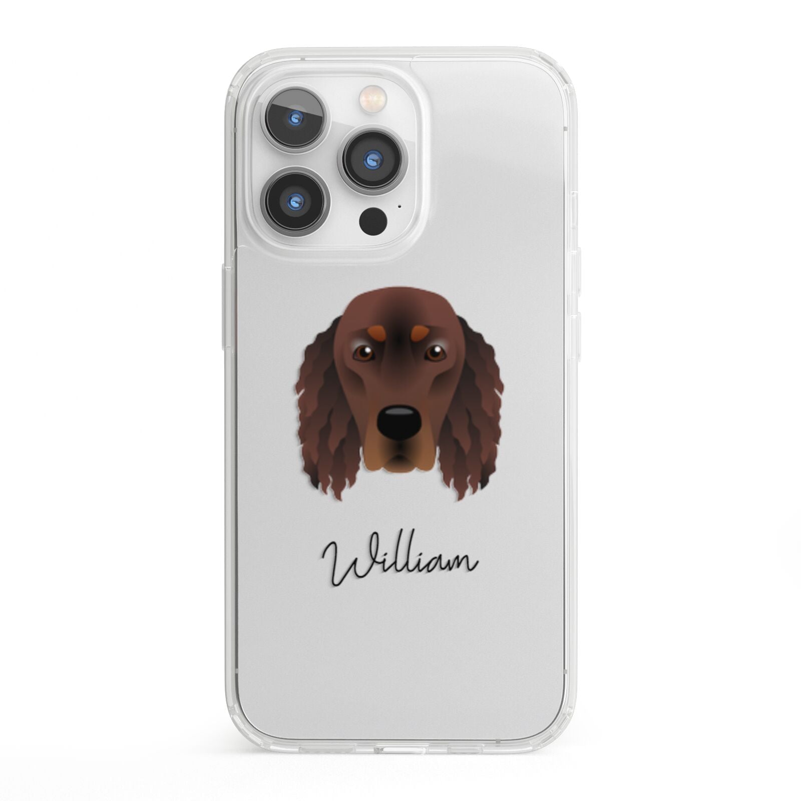 Gordon Setter Personalised iPhone 13 Pro Clear Bumper Case