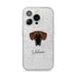 Great Dane Personalised iPhone 14 Pro Glitter Tough Case Silver