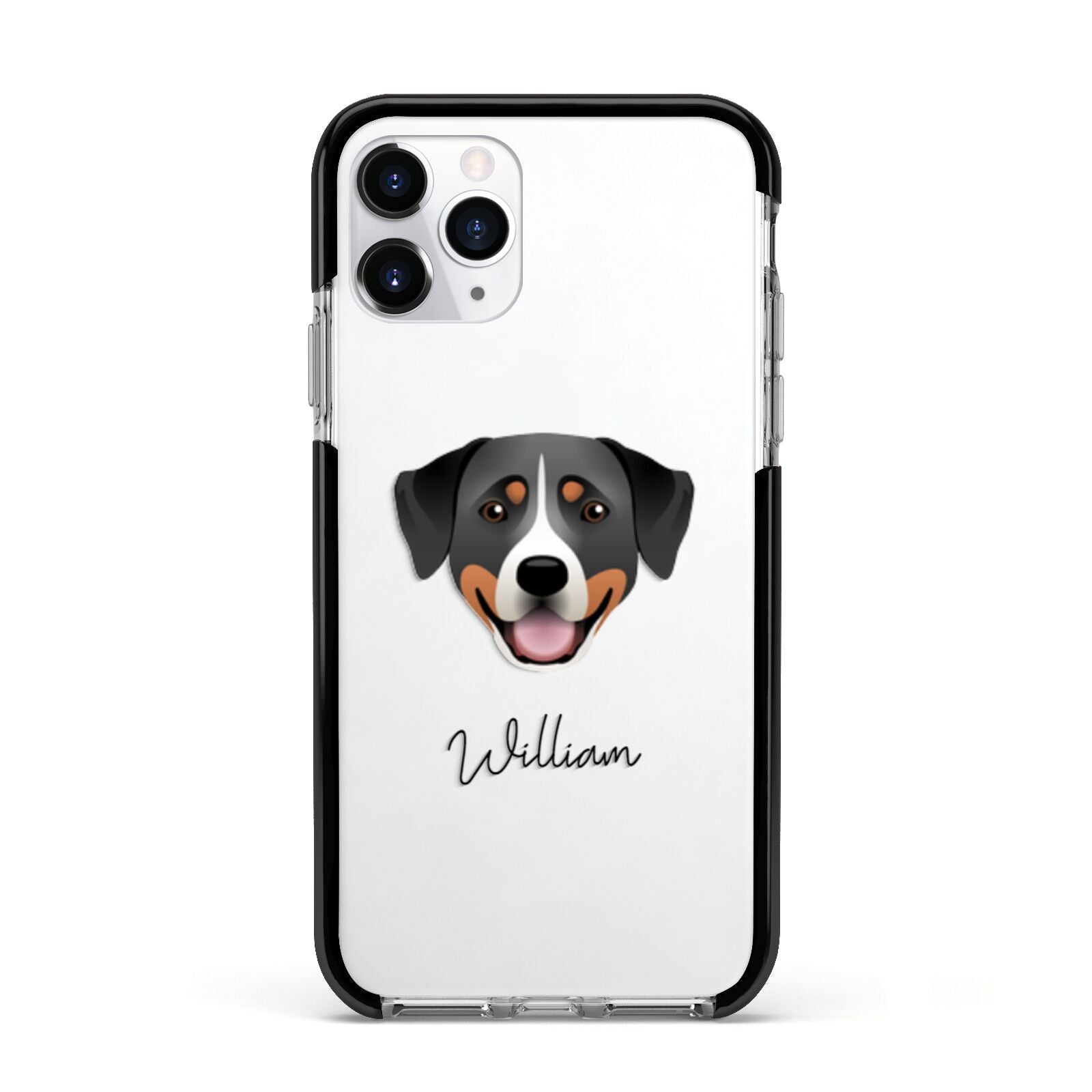 Greater Swiss Mountain Dog Personalised Apple iPhone 11 Pro in Silver with Black Impact Case