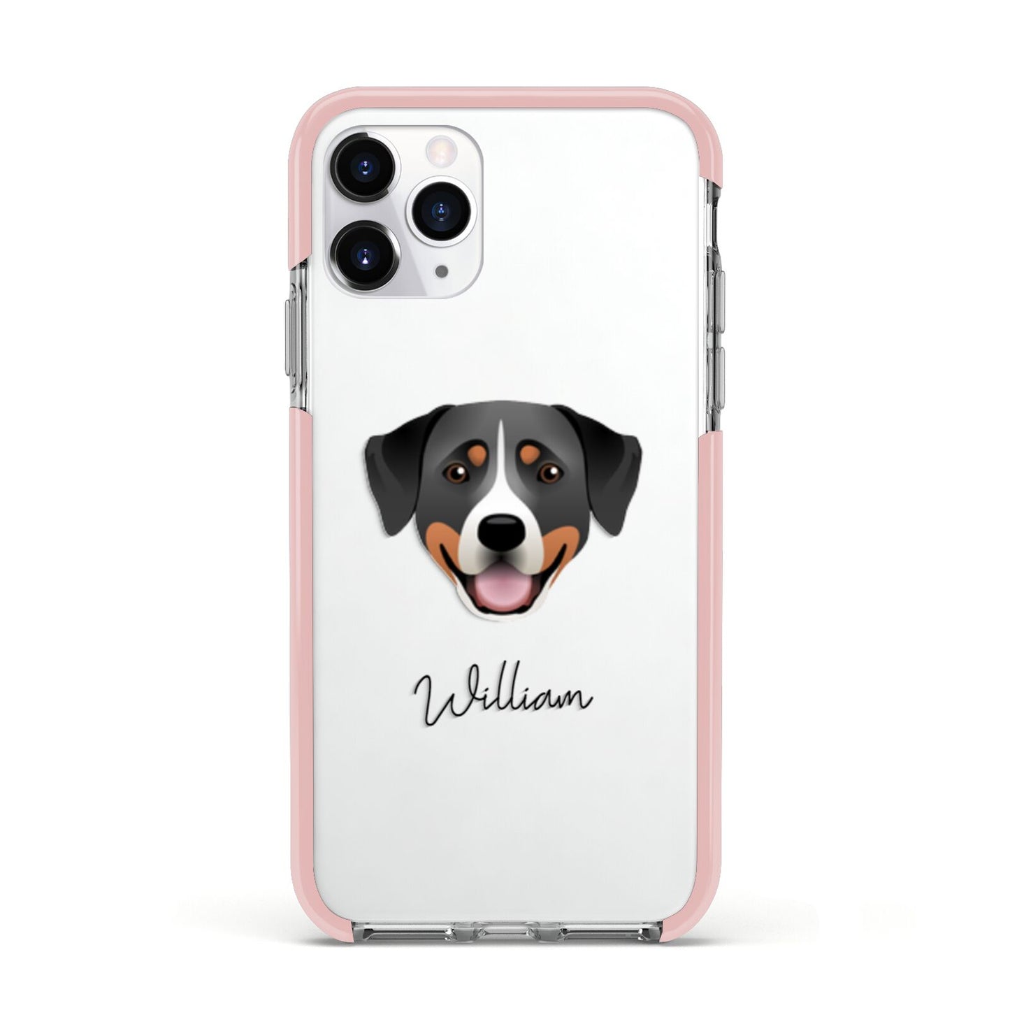 Greater Swiss Mountain Dog Personalised Apple iPhone 11 Pro in Silver with Pink Impact Case