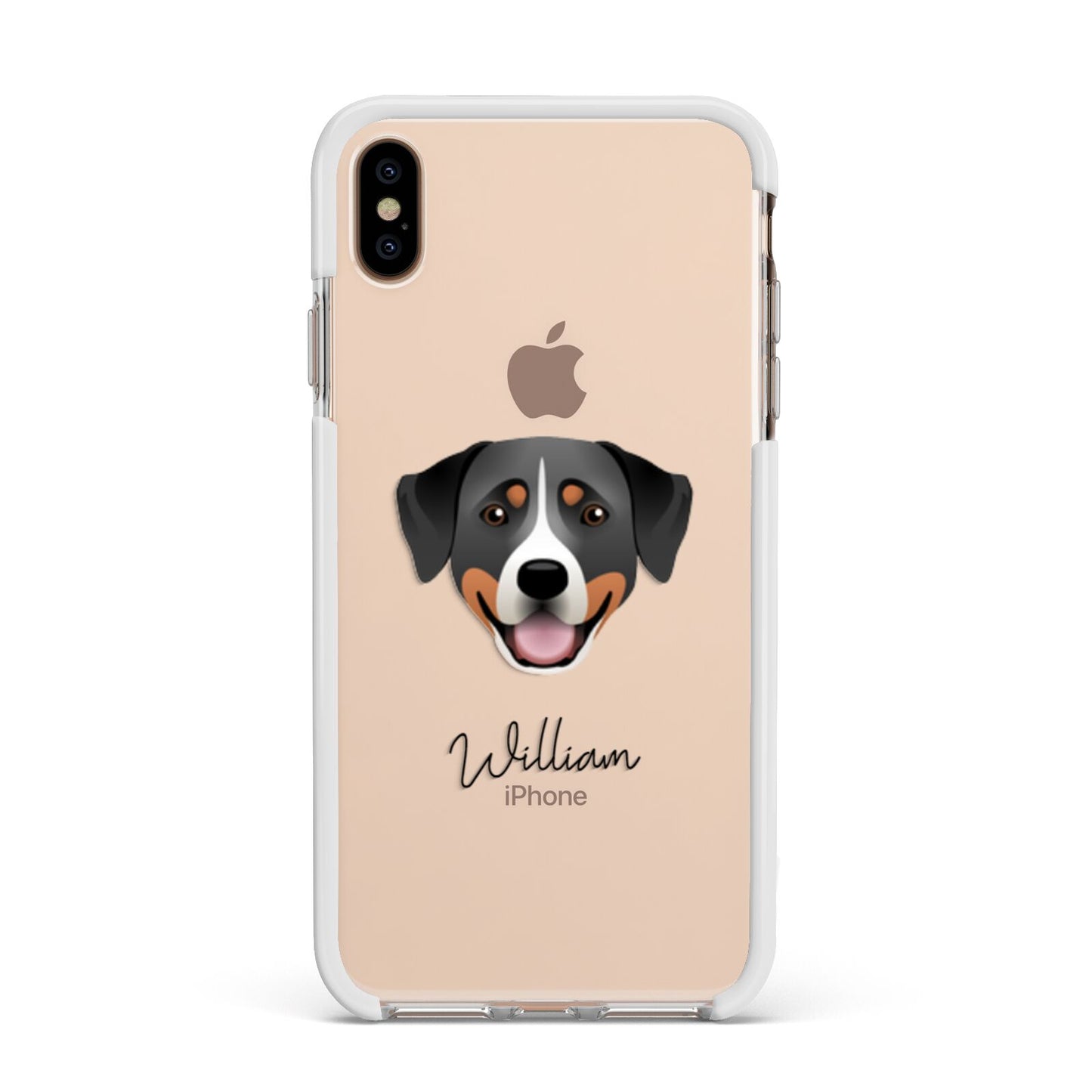 Greater Swiss Mountain Dog Personalised Apple iPhone Xs Max Impact Case White Edge on Gold Phone