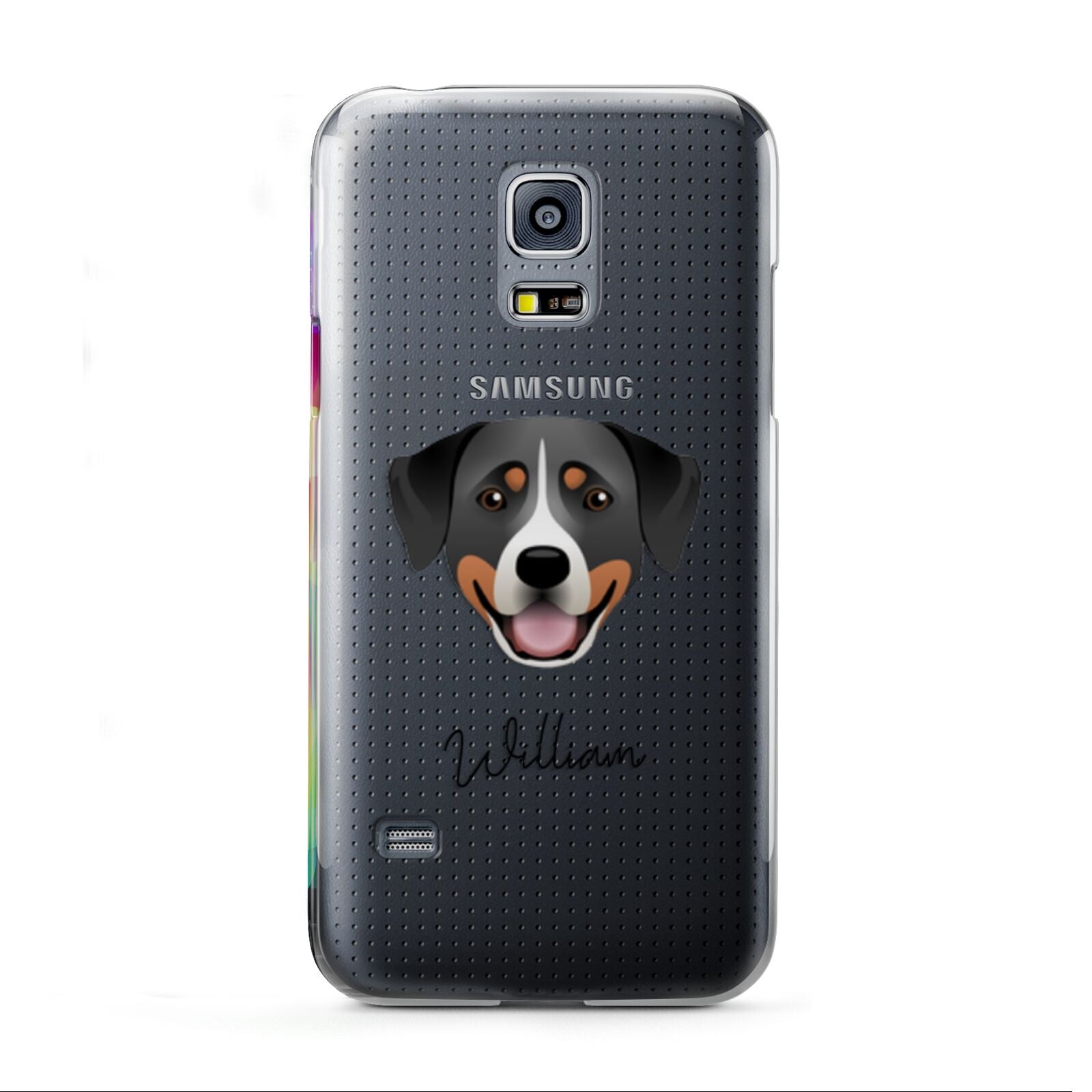 Greater Swiss Mountain Dog Personalised Samsung Galaxy S5 Mini Case
