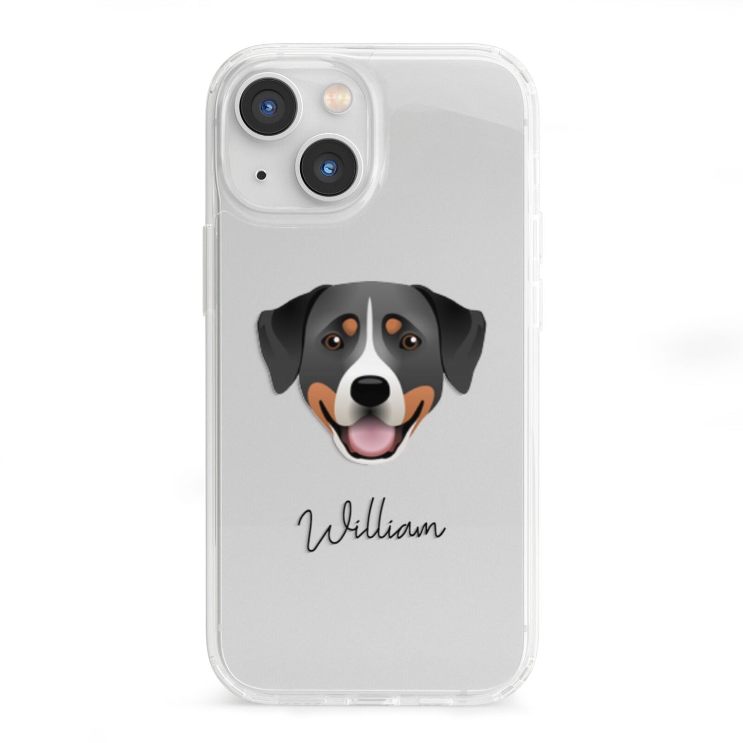 Greater Swiss Mountain Dog Personalised iPhone 13 Mini Clear Bumper Case