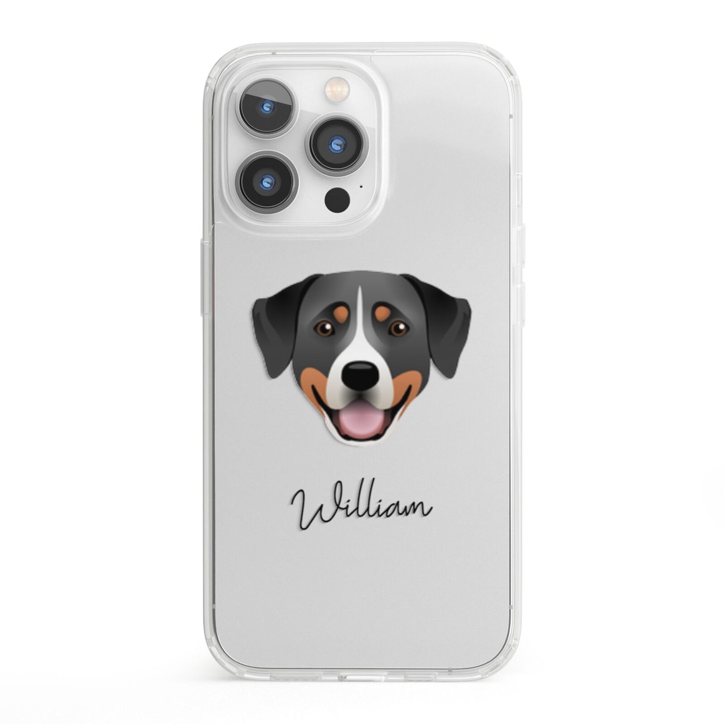 Greater Swiss Mountain Dog Personalised iPhone 13 Pro Clear Bumper Case