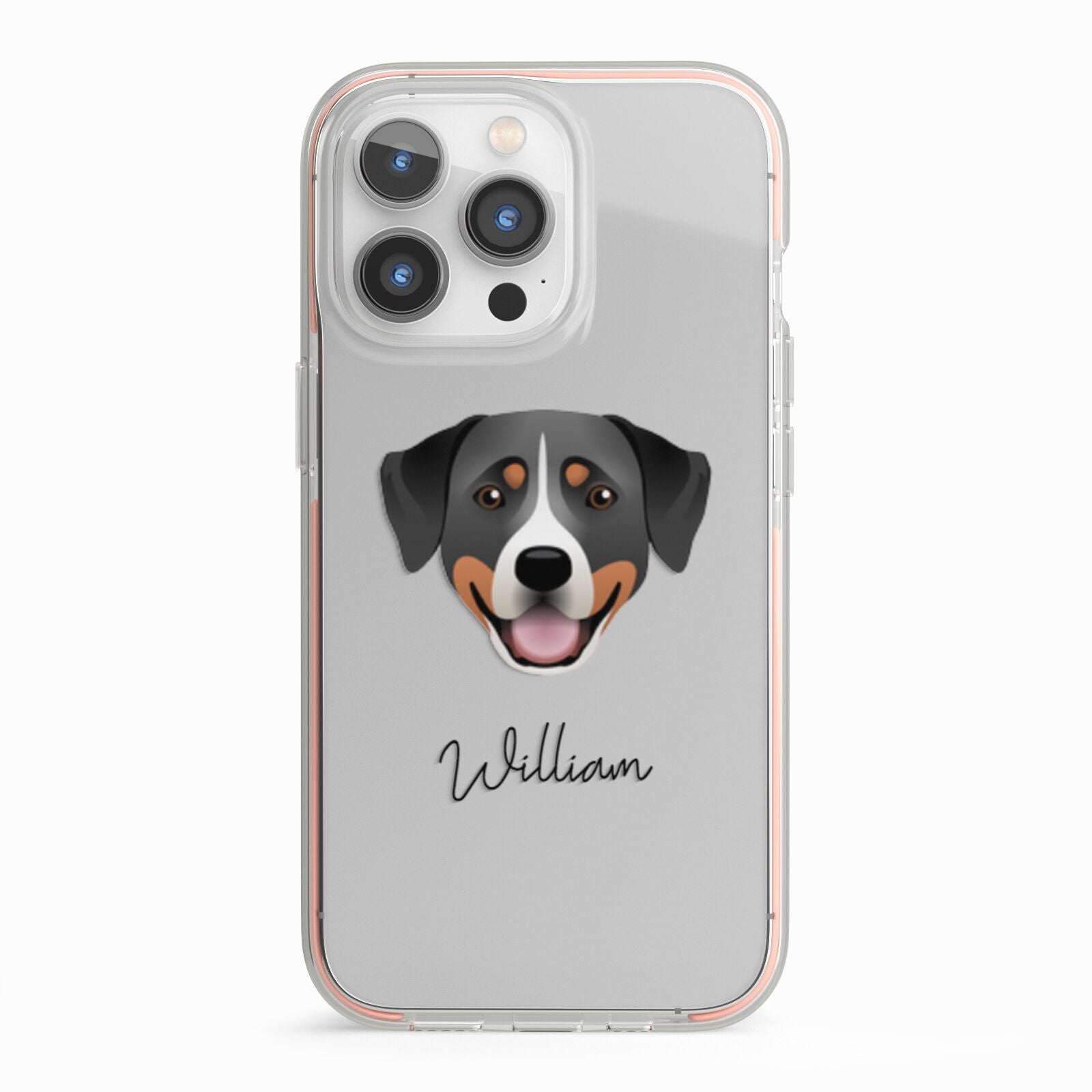 Greater Swiss Mountain Dog Personalised iPhone 13 Pro TPU Impact Case with Pink Edges