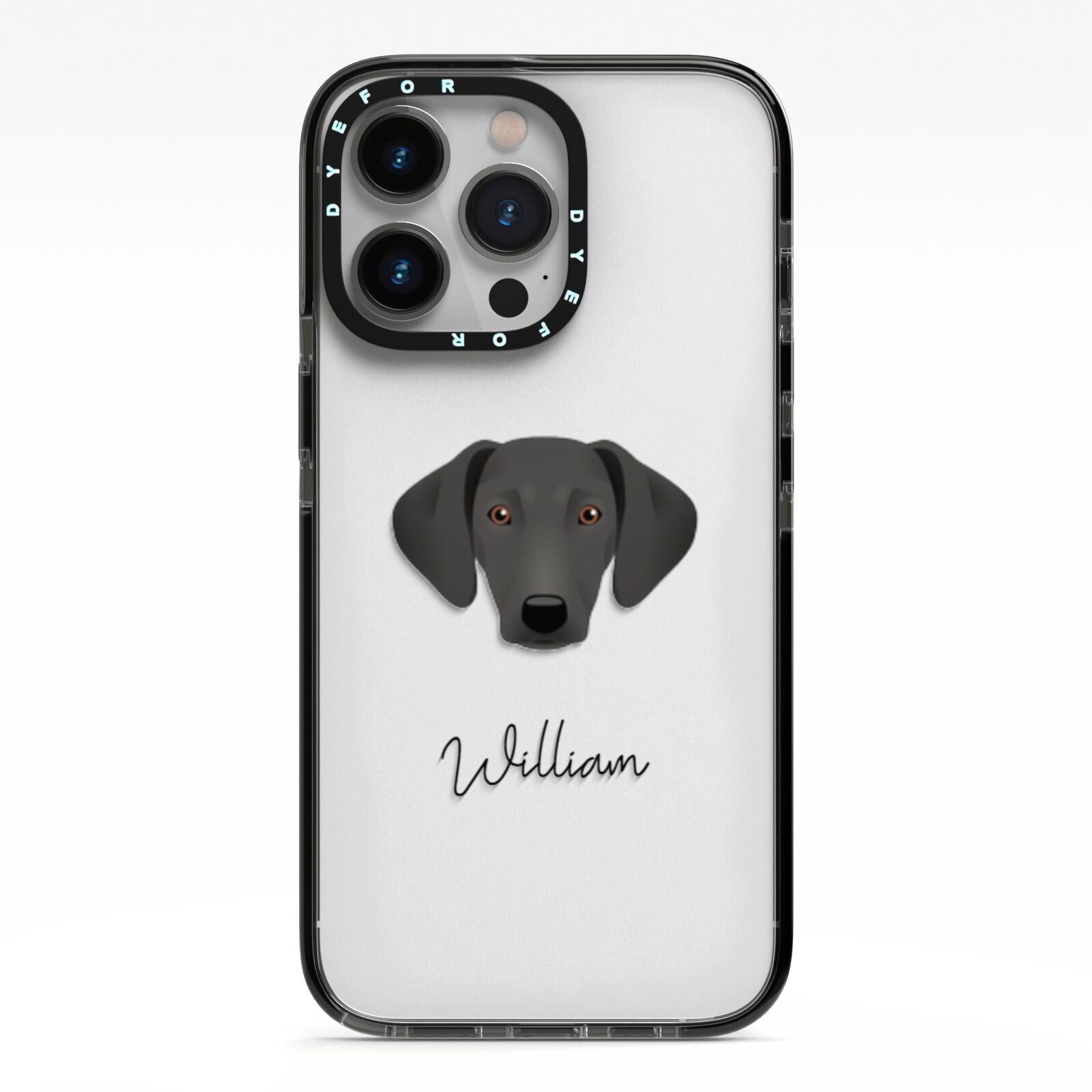 Greek Harehound Personalised iPhone 13 Pro Black Impact Case on Silver phone