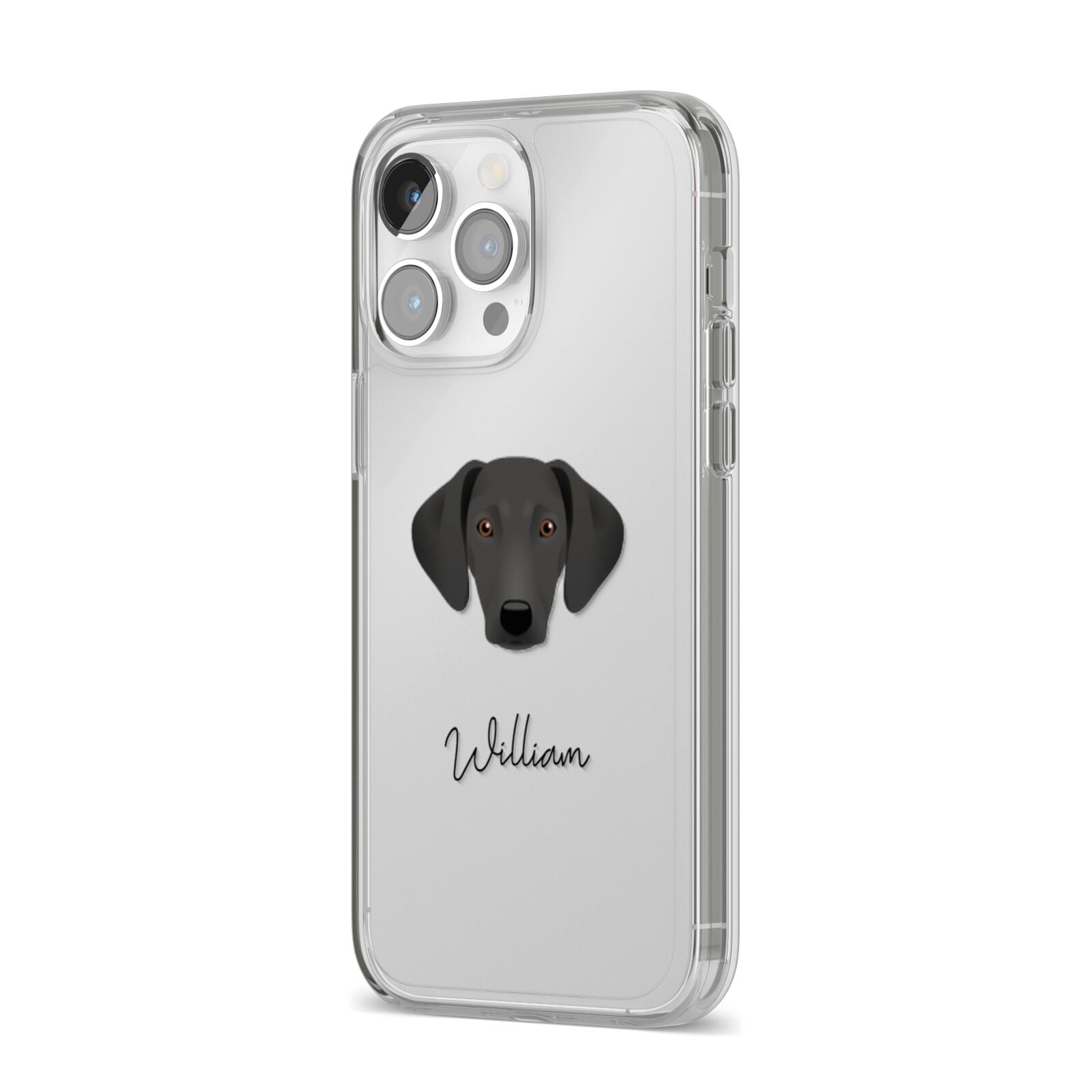 Greek Harehound Personalised iPhone 14 Pro Max Clear Tough Case Silver Angled Image