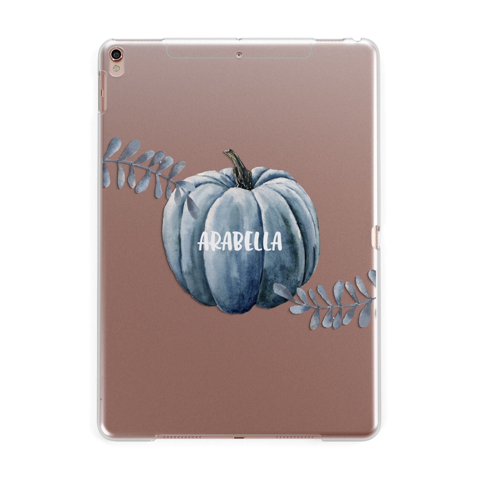 Grey Pumpkin Apple iPad Rose Gold Case